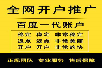 百度竞价代理实战技巧：经典案例深度解读